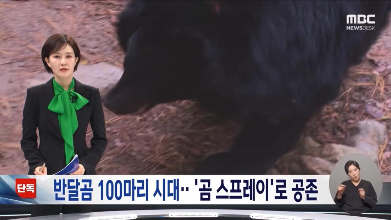 지리산 곰 100마리 육박하자 내놓은 특단의 조치 · 1번째 이미지