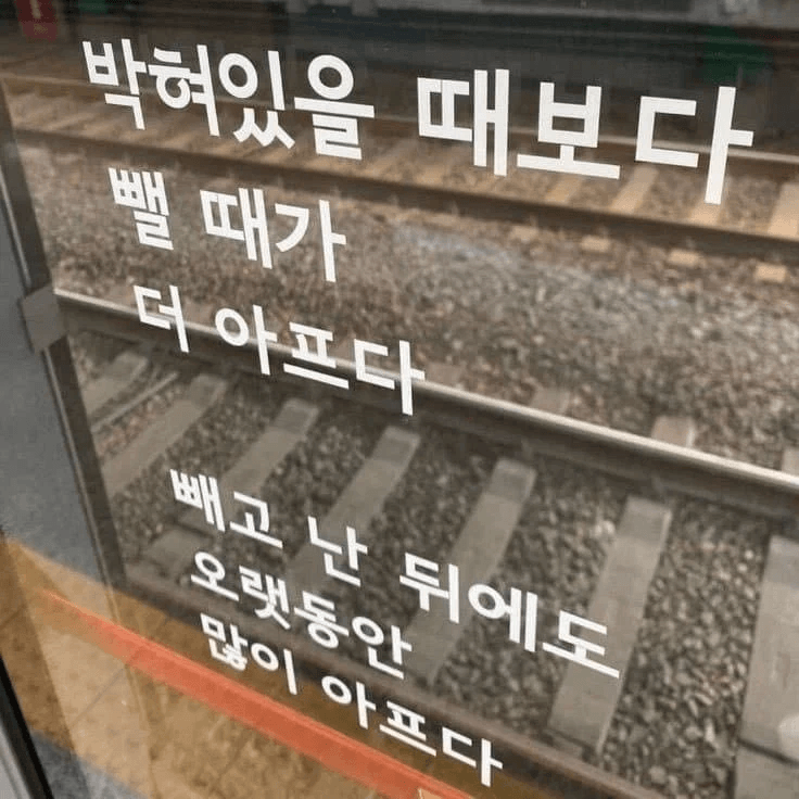 제목 : 애널플러그