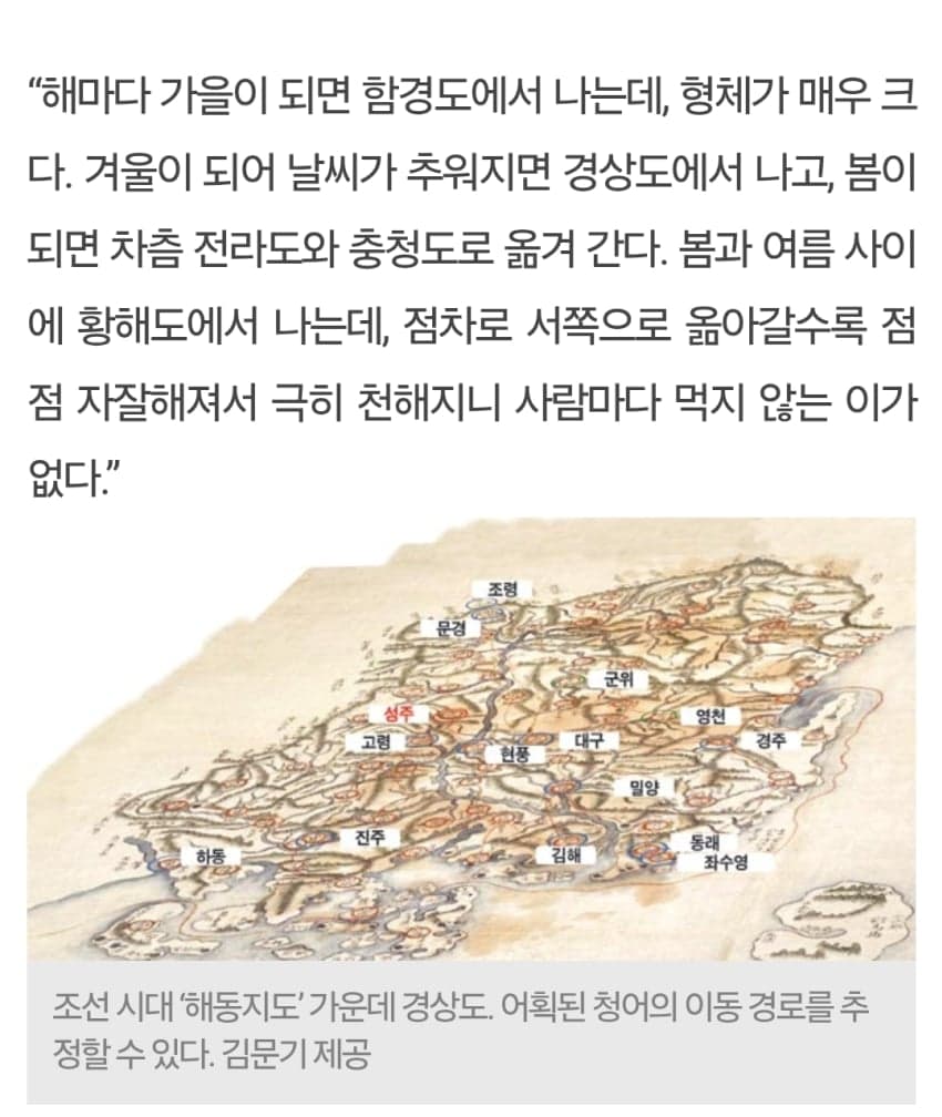 싱글벙글 ㄹㅇ 세상을 바꾼 생선 새끼...jpg · 13번째 이미지
