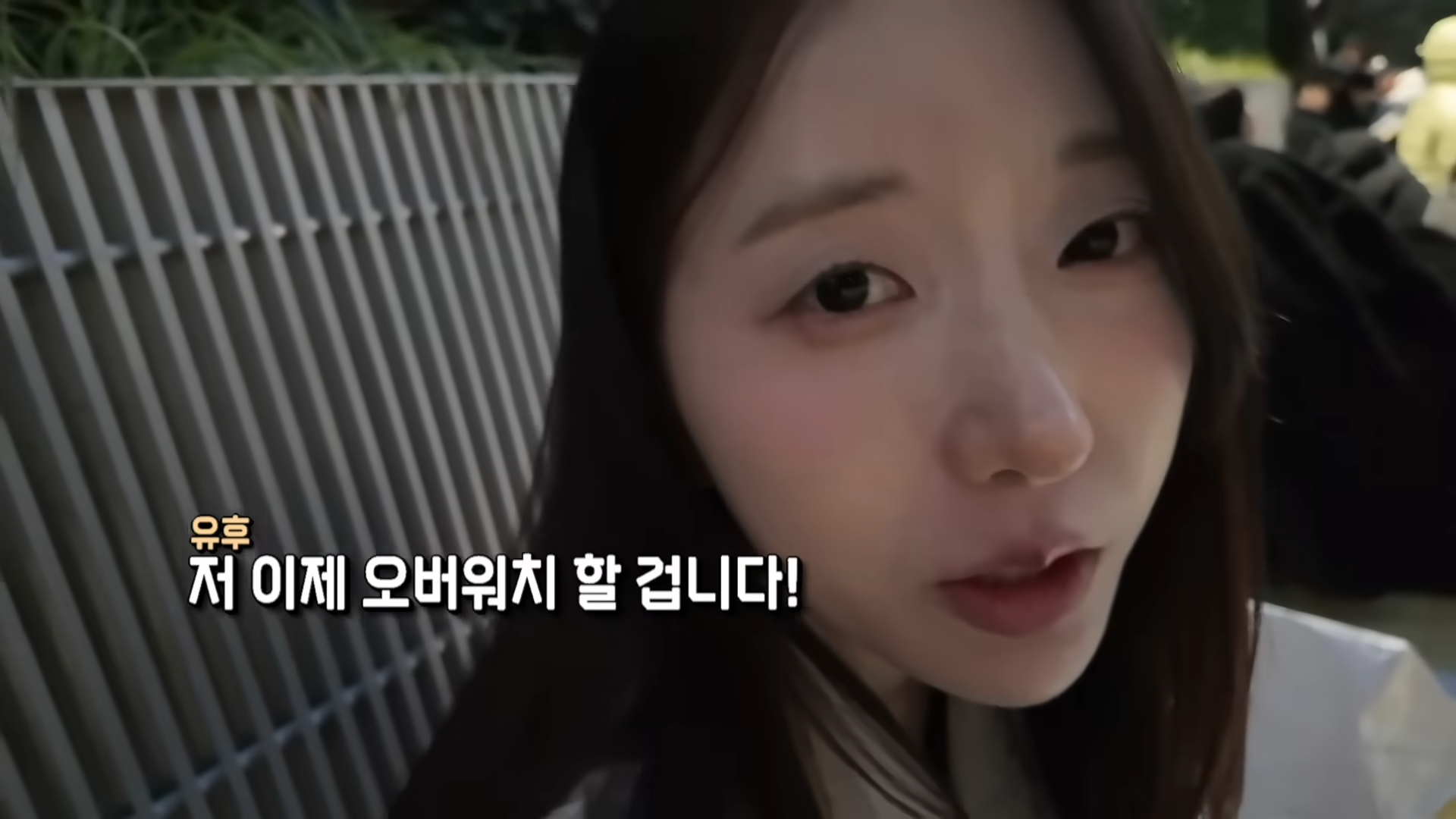 한정선 보다 더 심하다는 고디바 모찌 근황 · 10번째 이미지