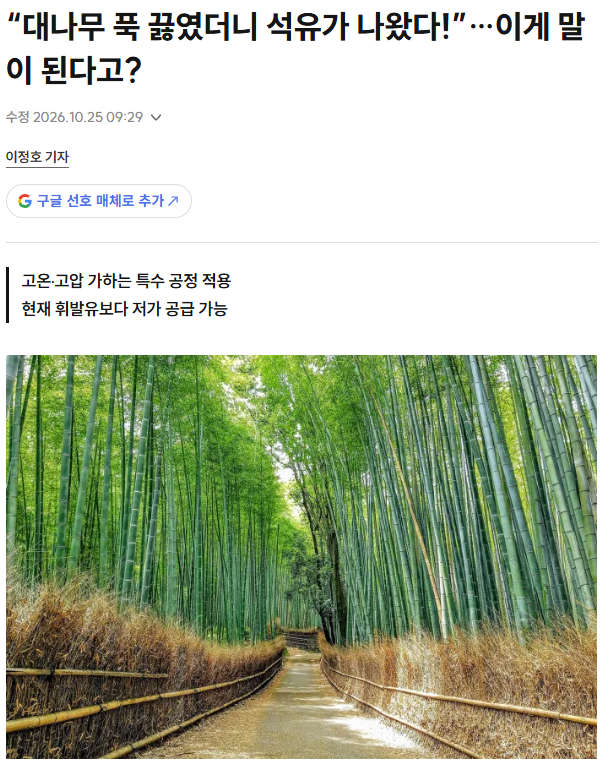 “대나무 푹 끓였더니 석유가 나왔다!”…이게 말이 된다고?