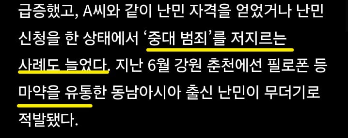 난민 범죄자 추방 못함 ㅋㅋㅋ · 13번째 이미지