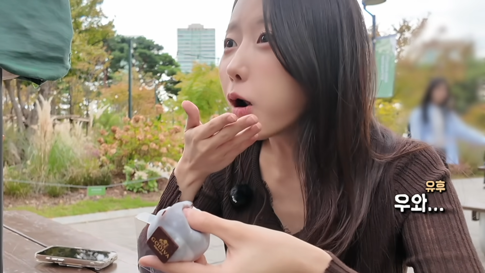 한정선 보다 더 심하다는 고디바 모찌 근황 · 41번째 이미지