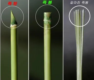 한국 과격시위를 많이 사라지게 만든 단체 .jpg · 20번째 이미지
