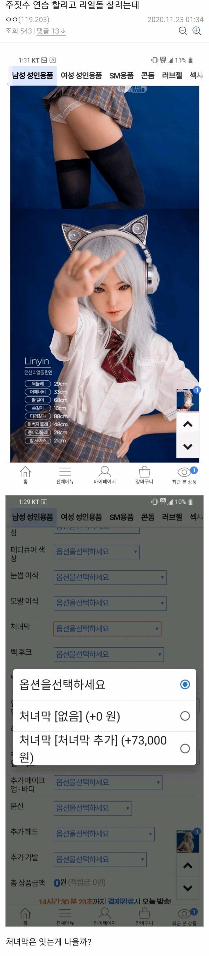 주짓수 연습할려고 리얼돌 살려는데