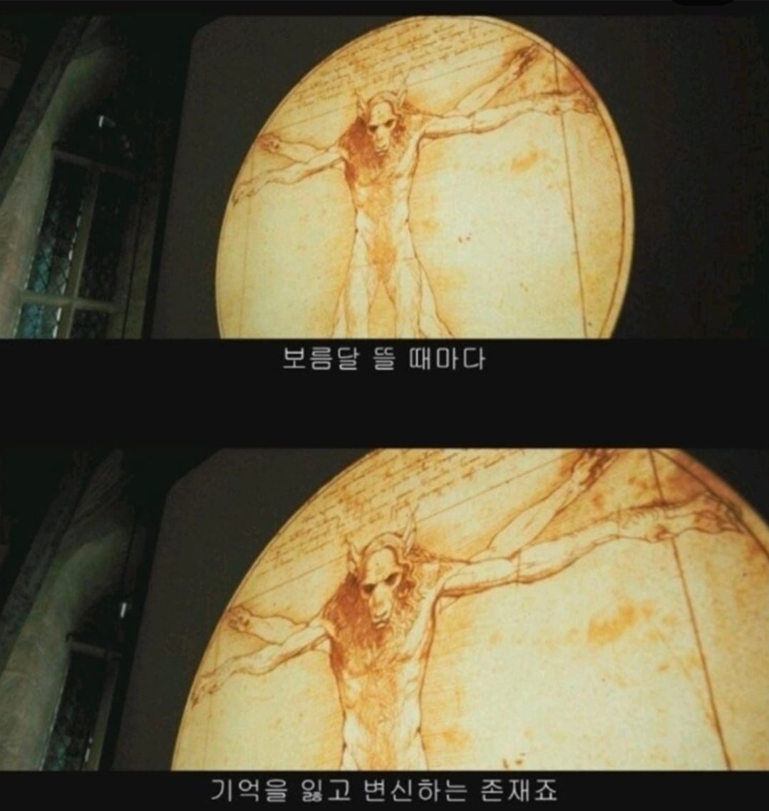 의외로 다 가르쳐주었다는 스네이프 교수.jpg · 6번째 이미지