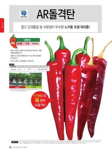 기합찬 국산 고추 🌶️품종들 이름