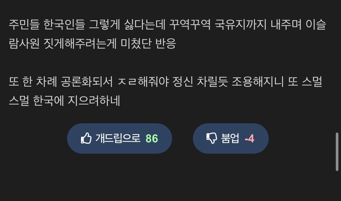 왜 이슬람 사원 건설에 국유지까지 내줄까? · 2번째 이미지