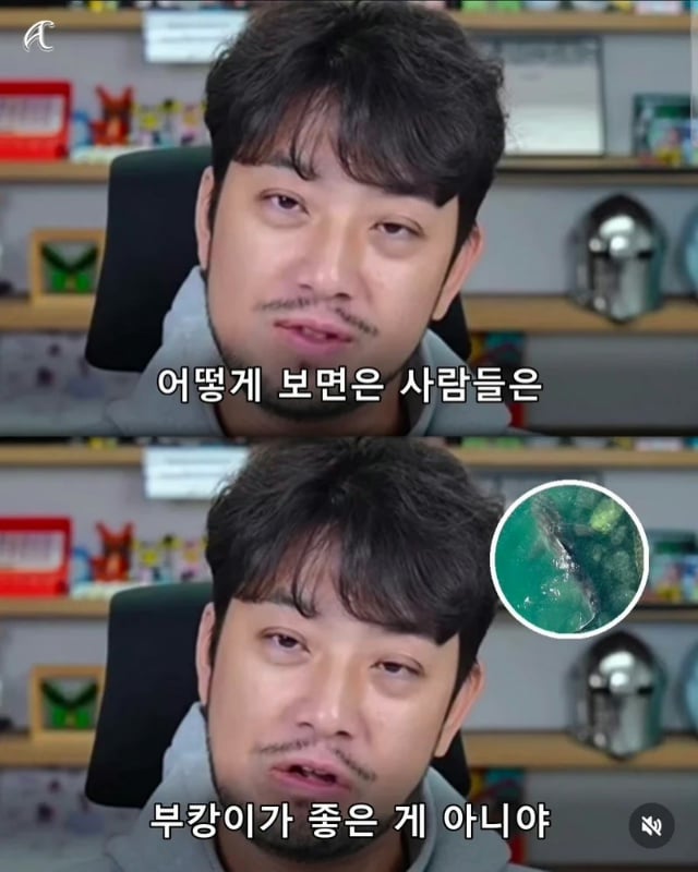 인방주의)부캉이 사태를 본 침착맨