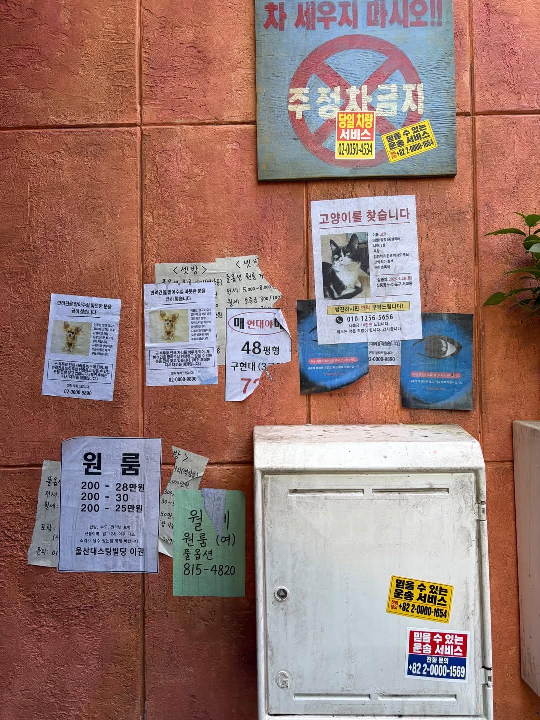 런던 근황.jpg · 3번째 이미지