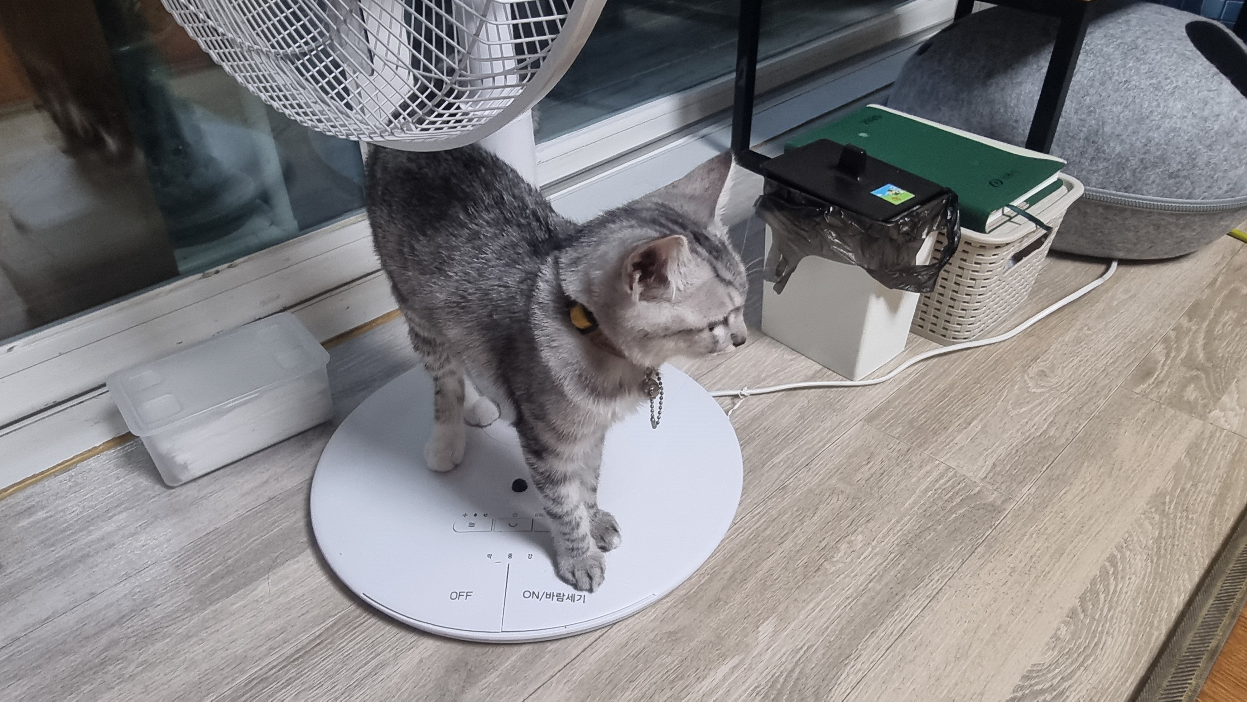 실수로 ㅇㄱㄸ글 써버렸네 미안해 애들아 🥺 · 6번째 이미지