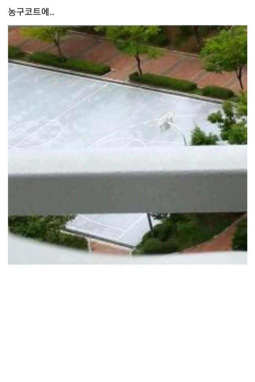 인터넷 커뮤에 사적인 사진을 올리면 안 되는 이유.jpg · 16번째 이미지
