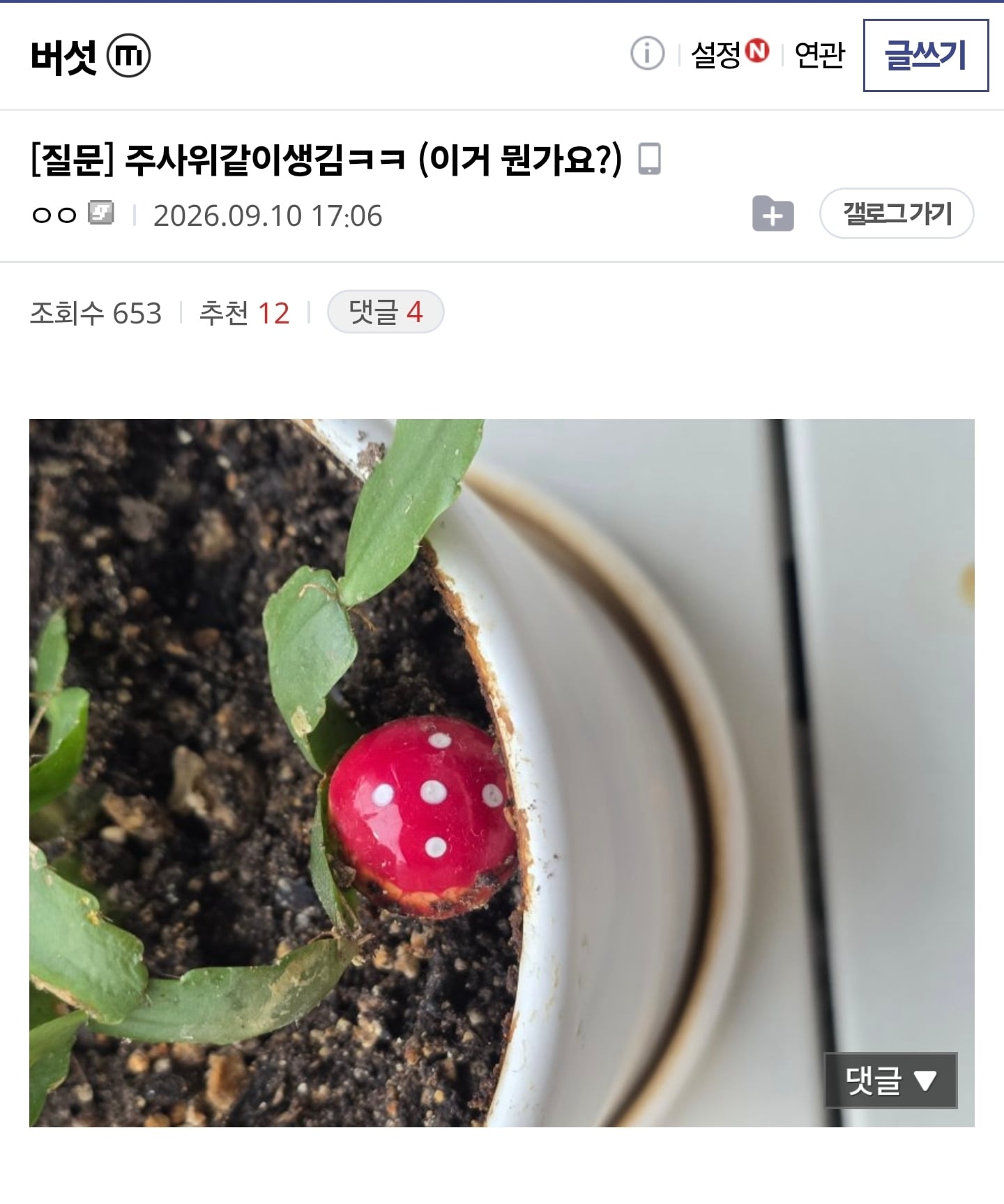주사위 닮은 버섯인데 뭘까요 · 1번째 이미지