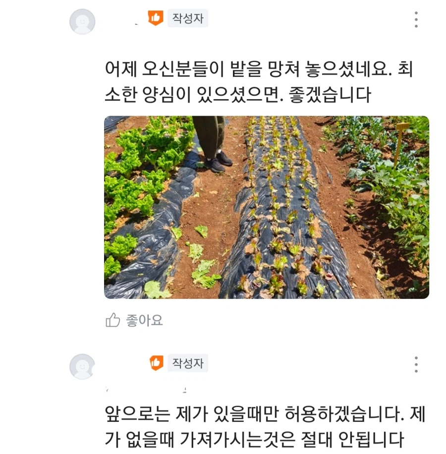 펌) 울동네 무료나눔 수준 · 4번째 이미지