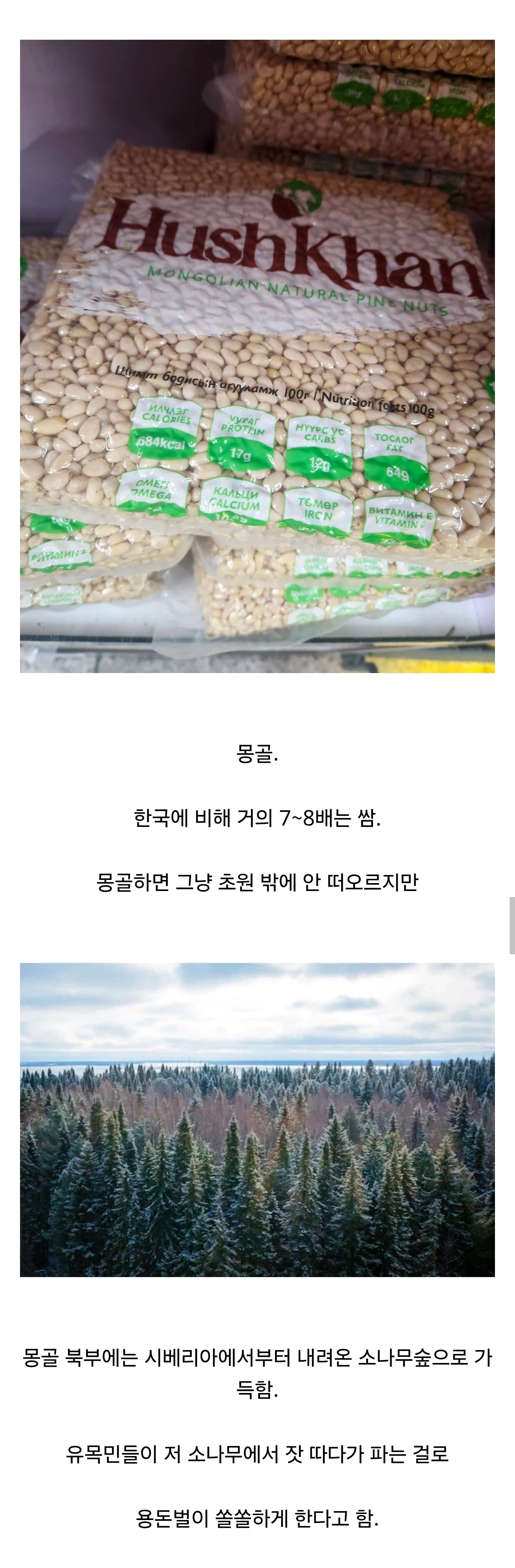 품질 좋은 잣을 싸게 살 수 있는 나라