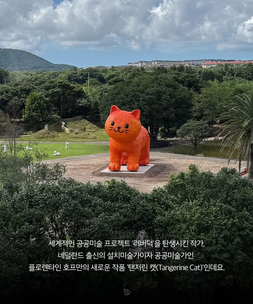 제주도에 나타난 거대 귤냥이