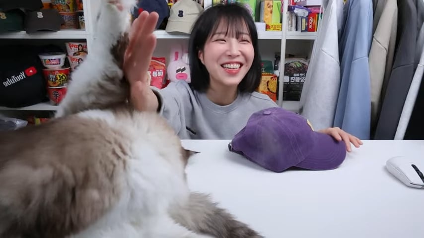 개오랜만에 라이브 방송키고 고양이 자랑하다가 대참사난 쯔양 · 5번째 이미지