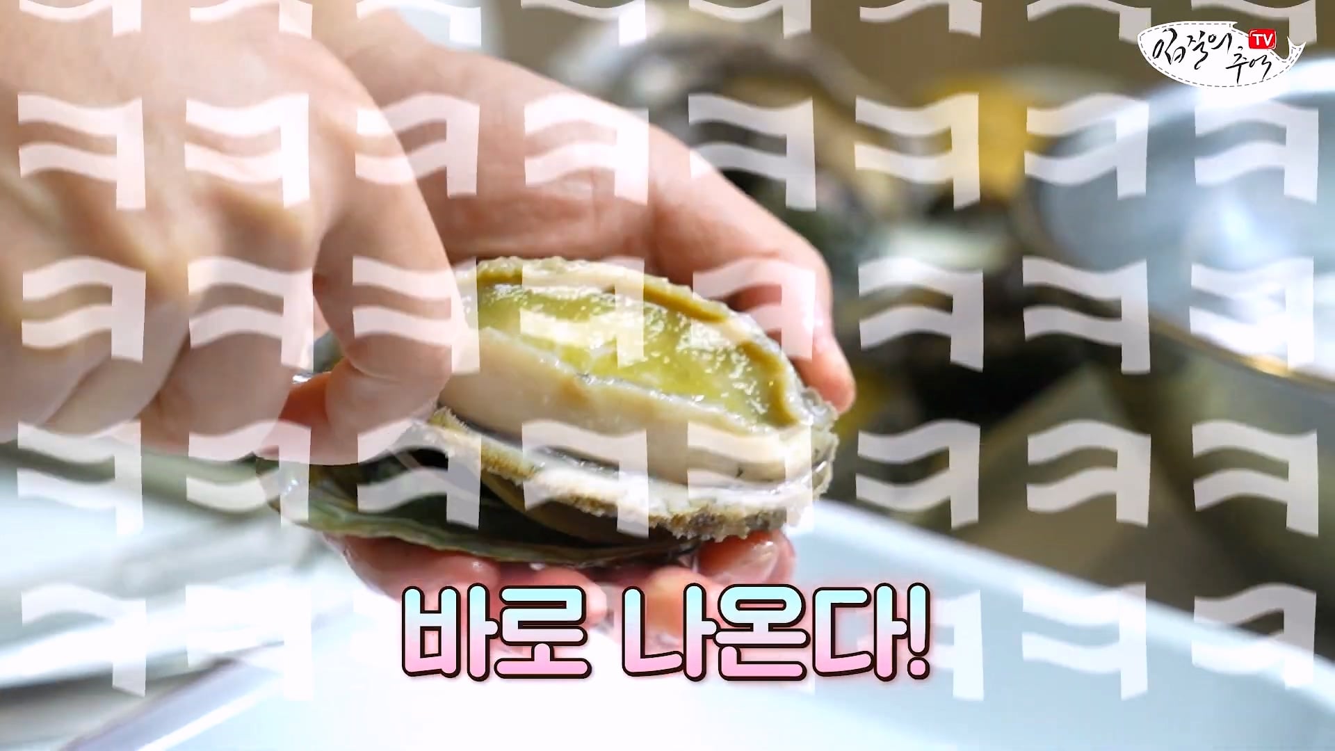 암컷 아저씨가 알려주는 손 쉬운 전복 손질 방법 · 26번째 이미지