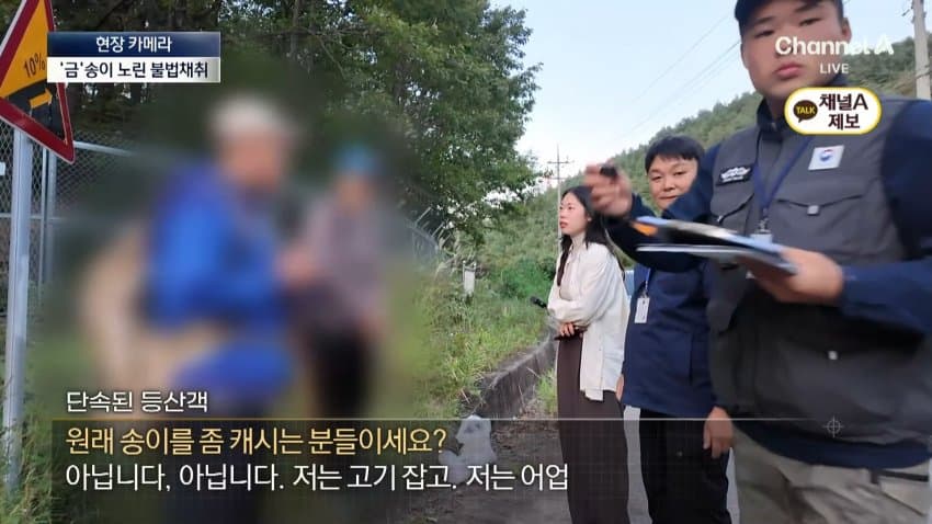 채널a) 송이버섯 1kg에 160만원...밤낮 추격전 · 30번째 이미지