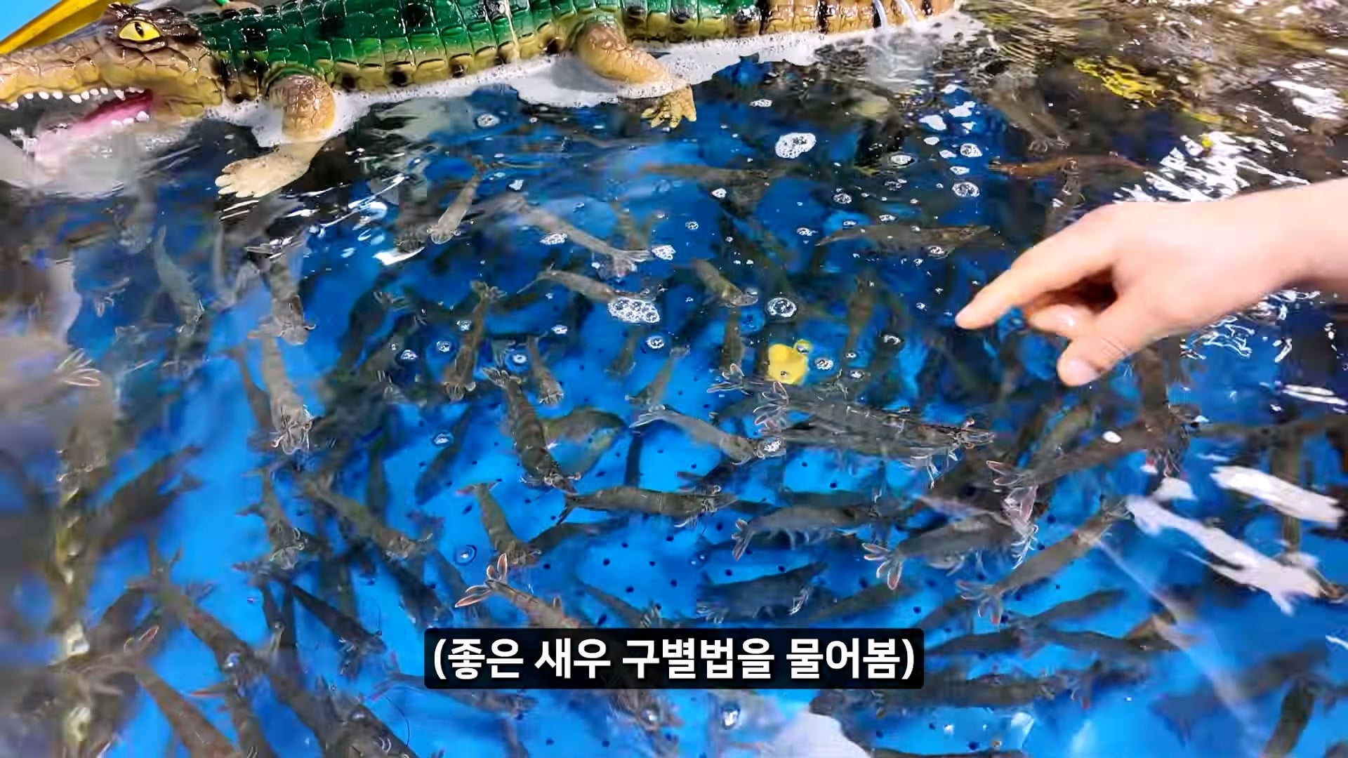 소래포구 저격하려고 14일간 잠입한 유튜버 · 68번째 이미지