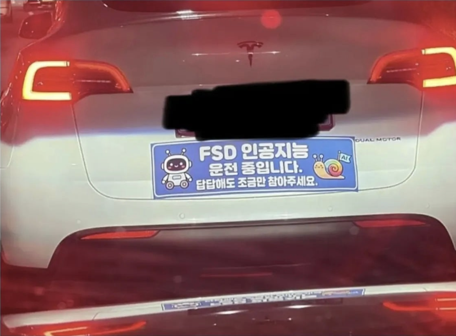 테슬라 fsd 풀려서 신난 운전자가 한 행동