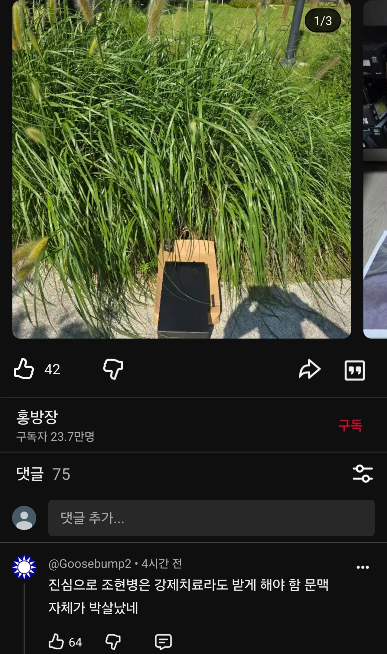 뭐라는건지 감도 안 잡히는 홍방장의 게시글.... · 7번째 이미지