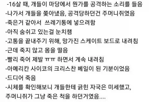 니가 죽였어.jpg · 1번째 이미지