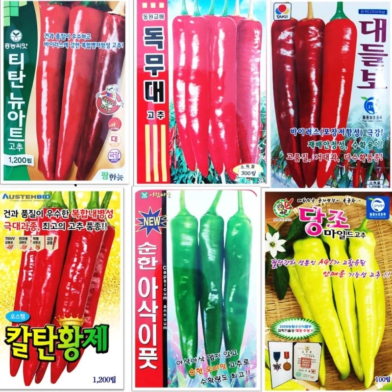 기합찬 국산 고추 🌶️품종들 이름 · 3번째 이미지