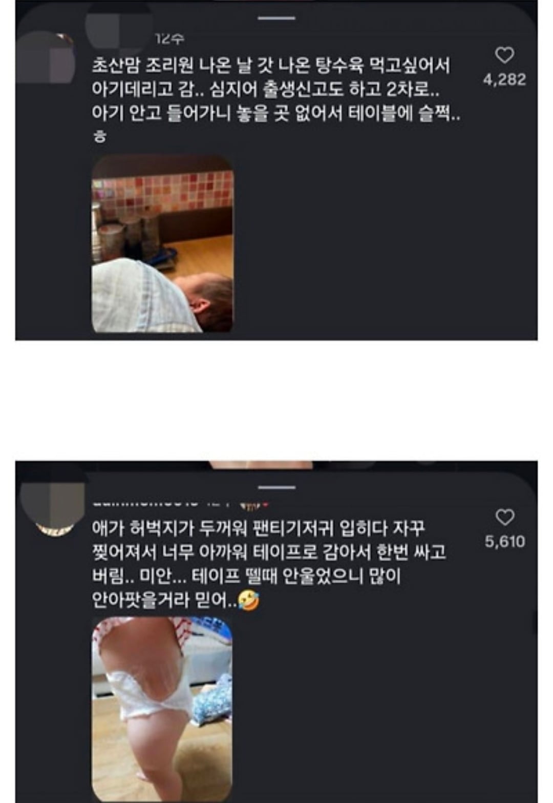 아기막 키우기대회 · 4번째 이미지