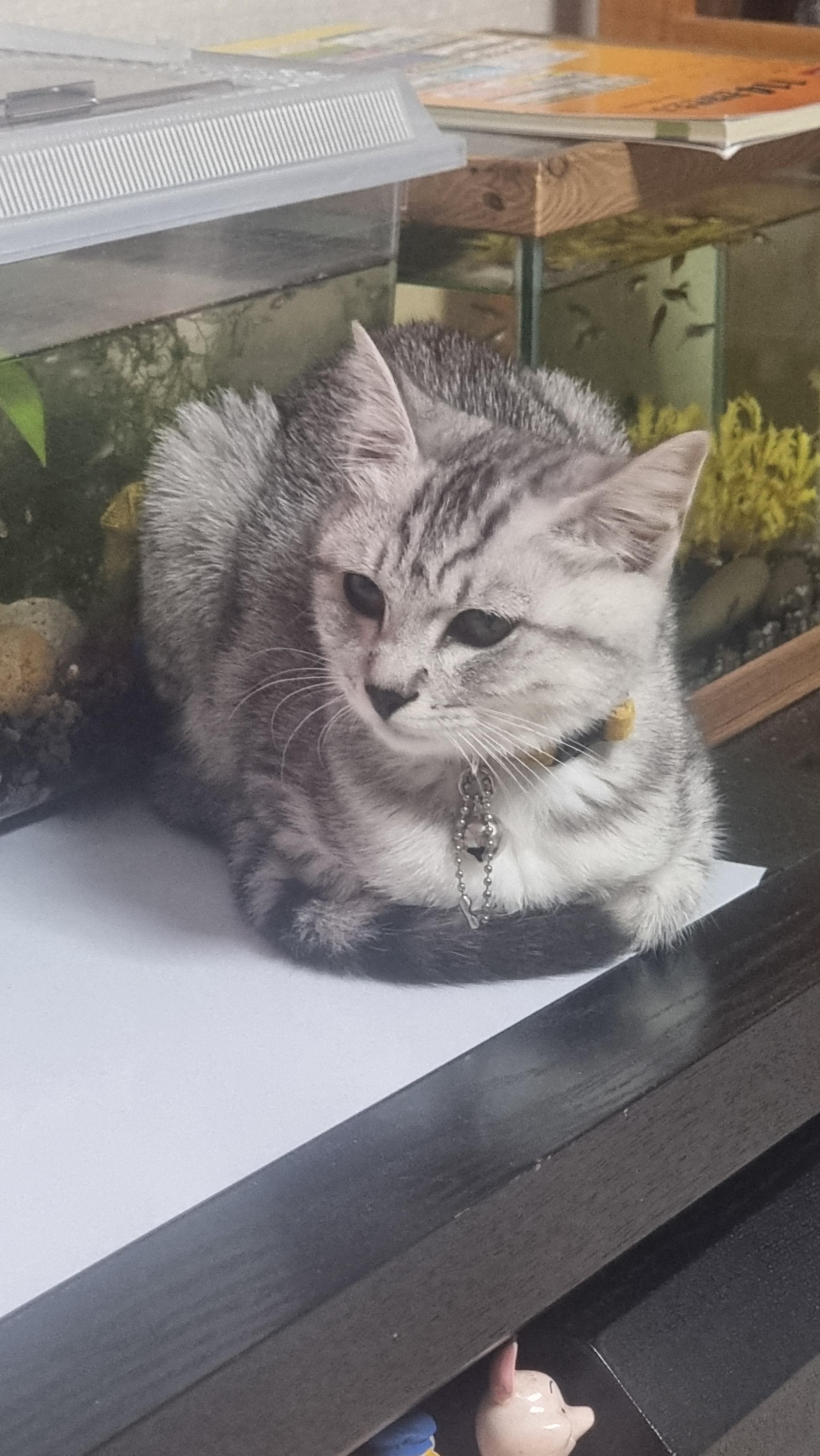 실수로 ㅇㄱㄸ글 써버렸네 미안해 애들아 🥺 · 7번째 이미지