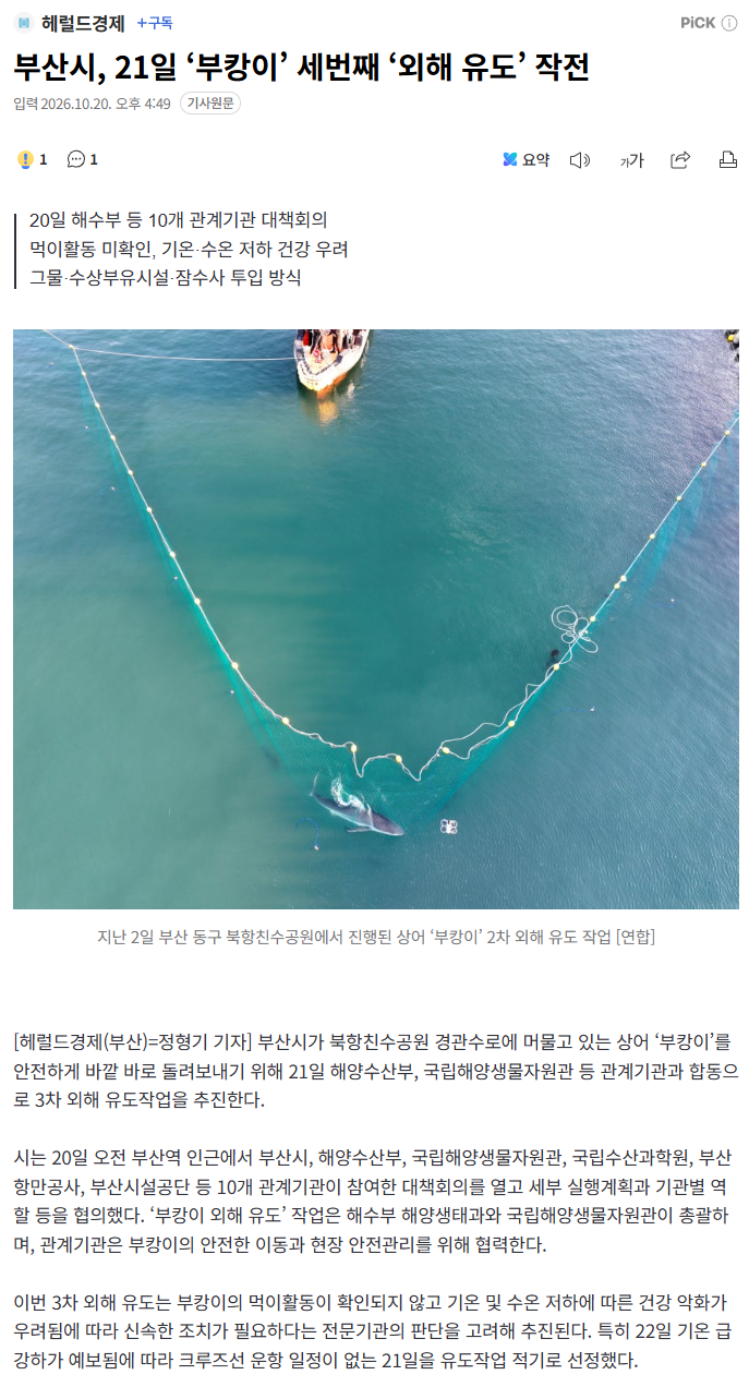 부산시, 21일 ‘부캉이’ 세번째 ‘외해 유도’ 작전 · 1번째 이미지