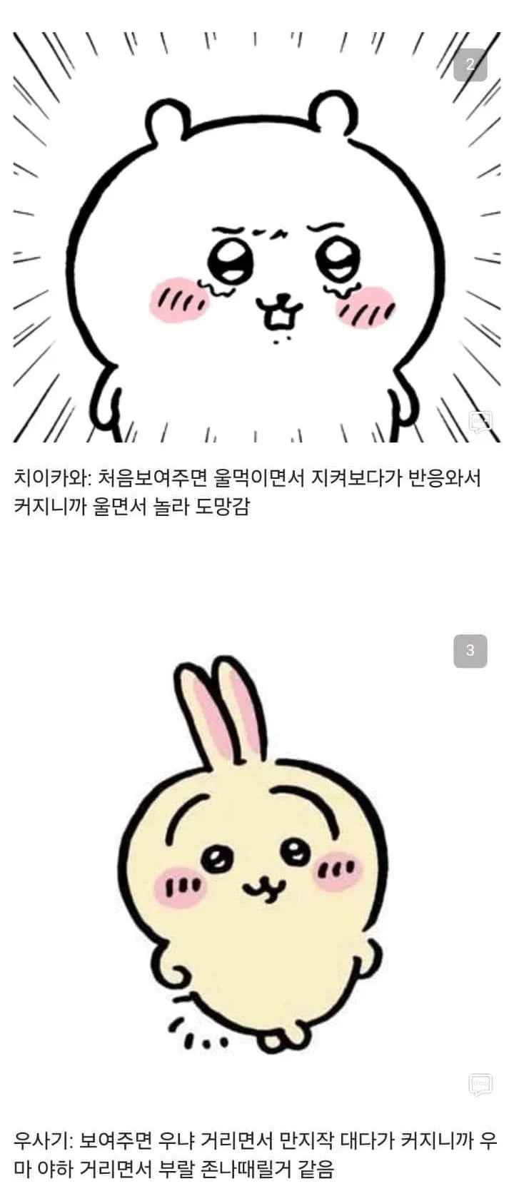 먼작귀한테 자지를 보여준 만붕이 · 2번째 이미지