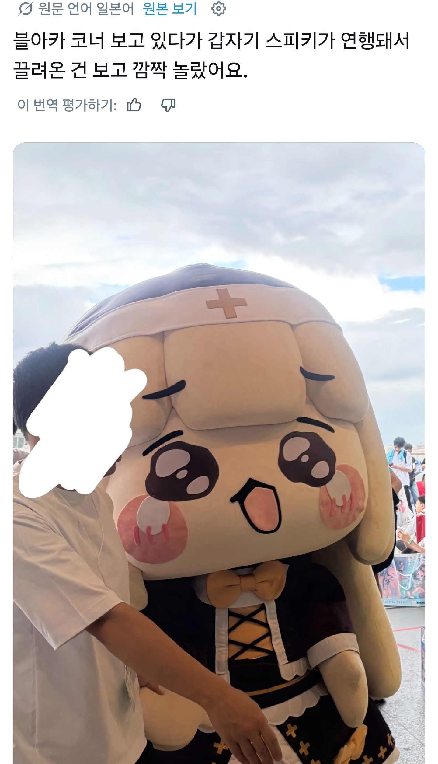 (ㅆㄷ) 스피키가 코미케 행사에서 연행되었던 이유 · 2번째 이미지