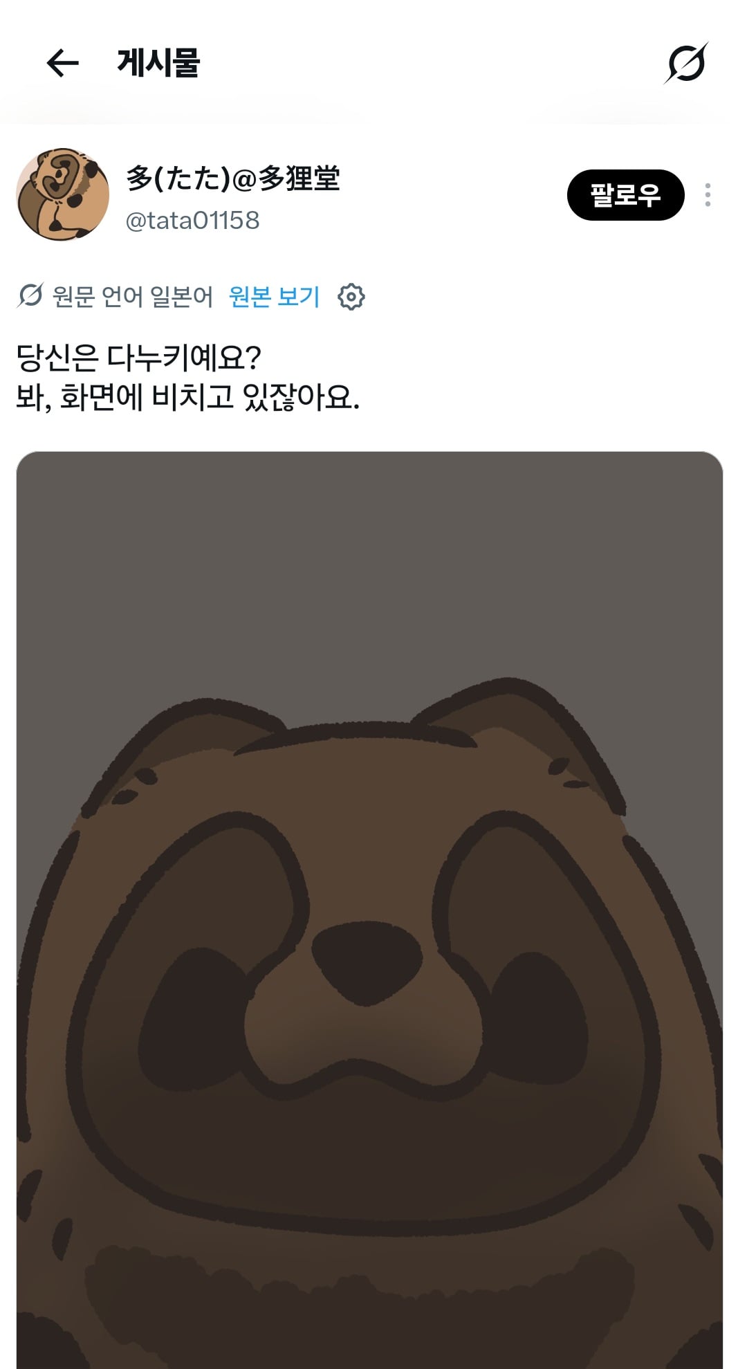 트위터에 너구리들이 많이 보이는 이유 · 7번째 이미지