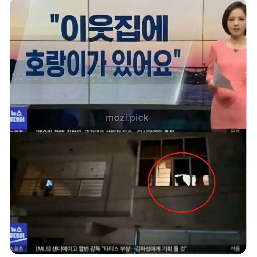 그림자 보고 집에 호랑이 있다고 신고.jpg