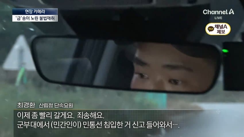 채널a) 송이버섯 1kg에 160만원...밤낮 추격전 · 25번째 이미지