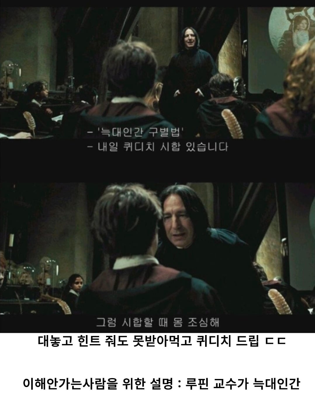 의외로 다 가르쳐주었다는 스네이프 교수.jpg · 8번째 이미지