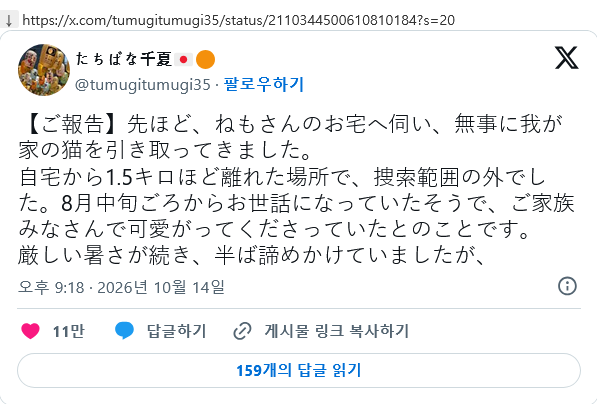 일본 트위터에서 좋아요 대박난 뻔뻔한 길고양이 · 3번째 이미지