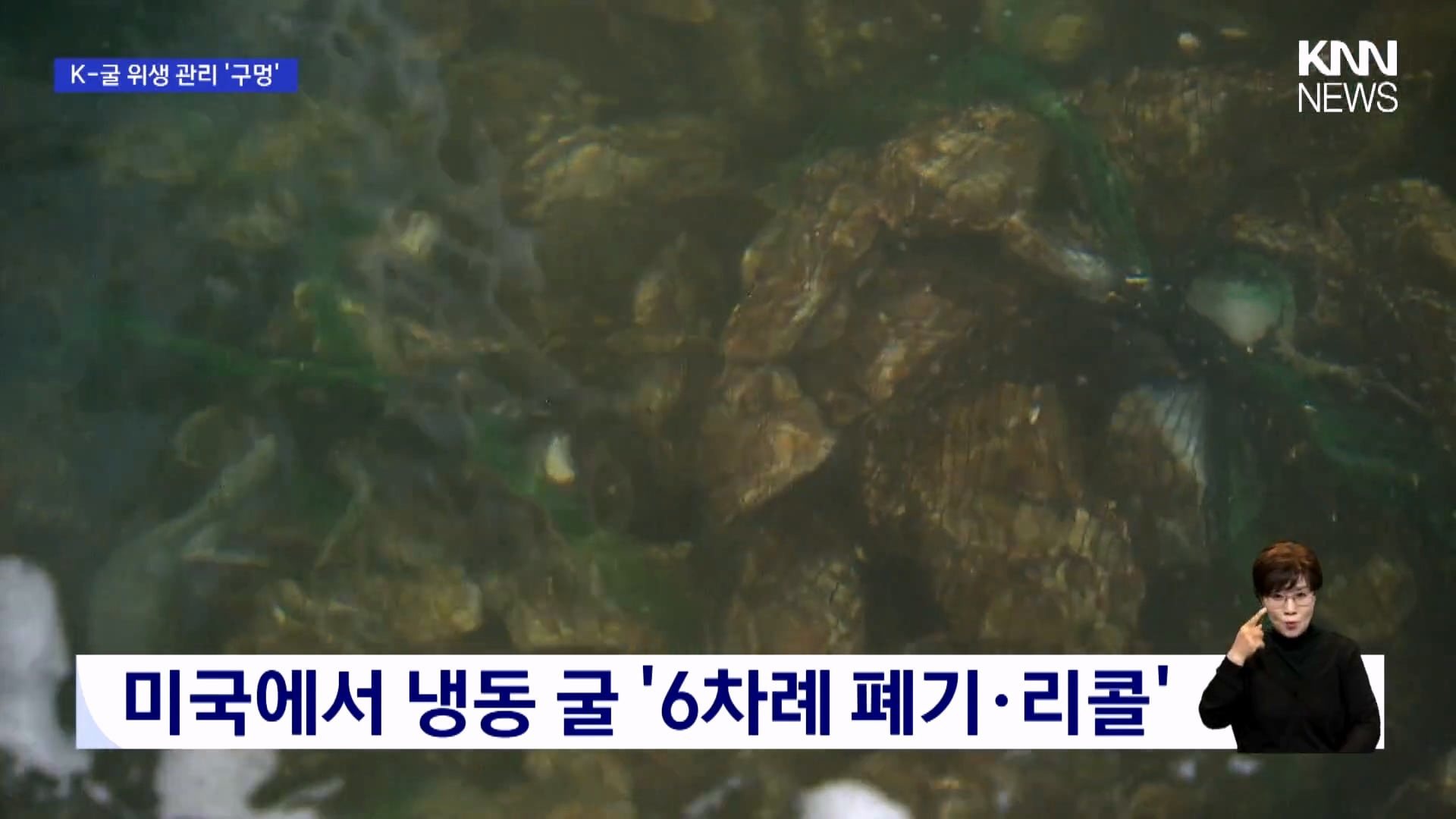 현재 노로바이러스 때문에 비상 걸렸다는 경남 굴 근황 · 6번째 이미지