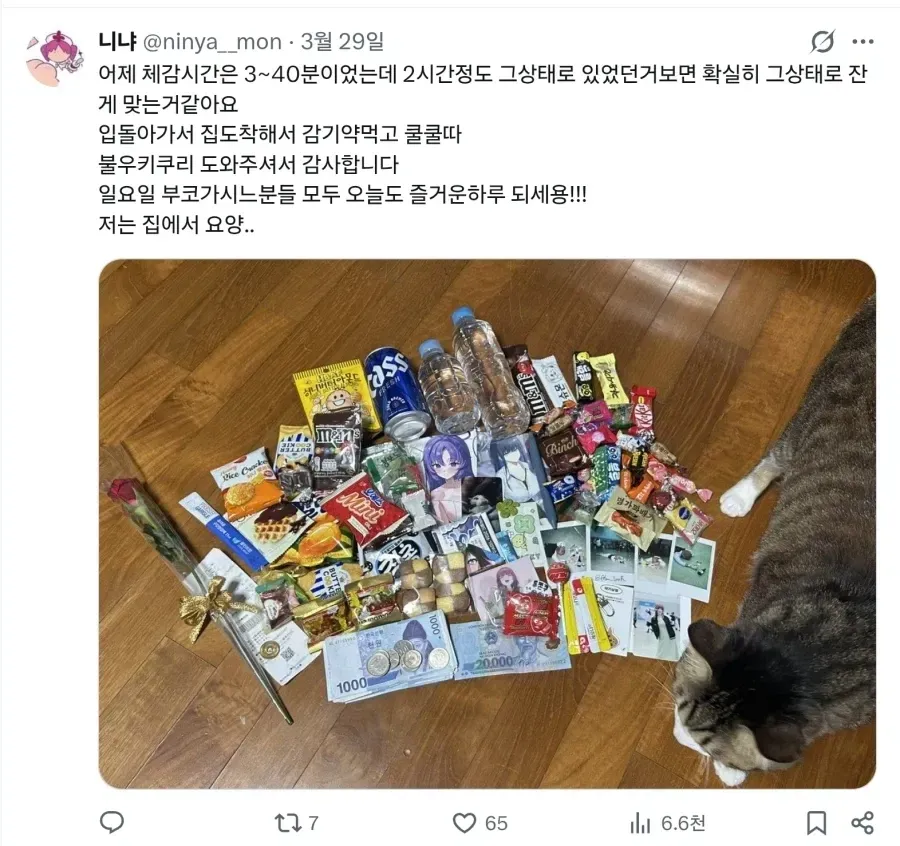 먹을 것이 생기는 코스프레들 · 3번째 이미지