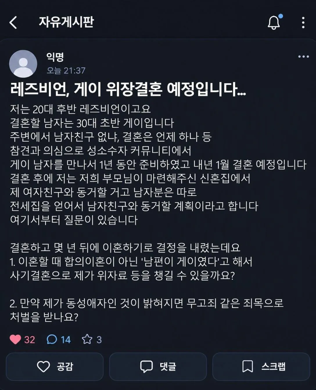 레즈비언과 게이 위장결혼