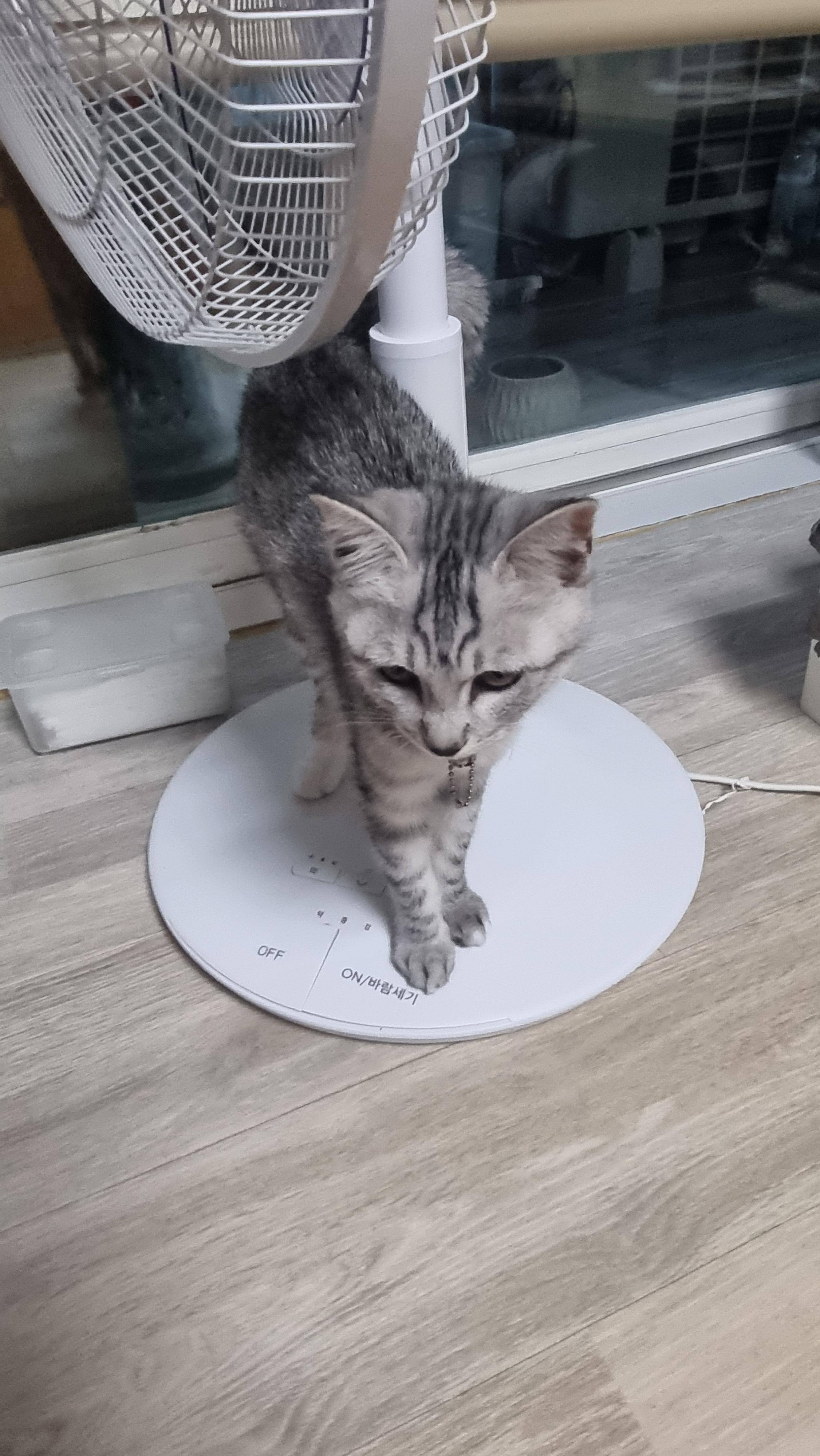 실수로 ㅇㄱㄸ글 써버렸네 미안해 애들아 🥺 · 1번째 이미지
