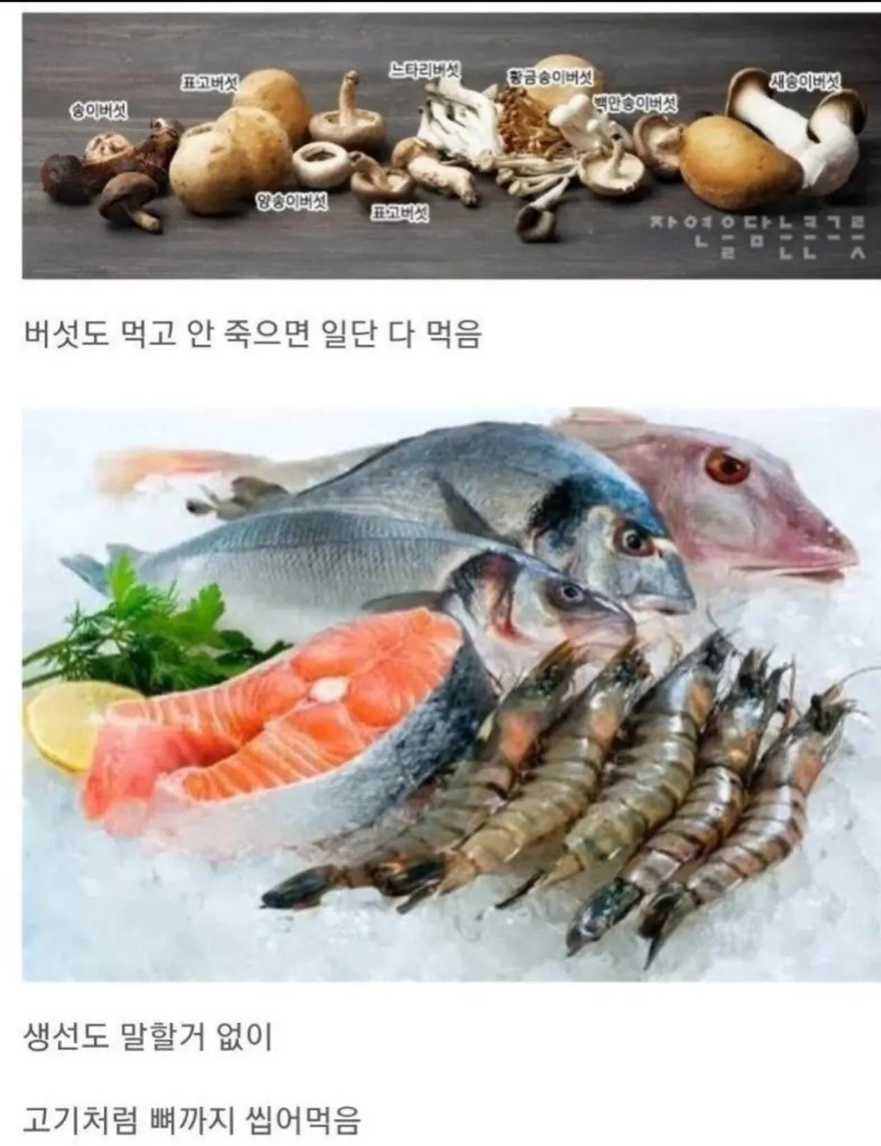 뭐든지 잘 먹는 한국인들 · 2번째 이미지