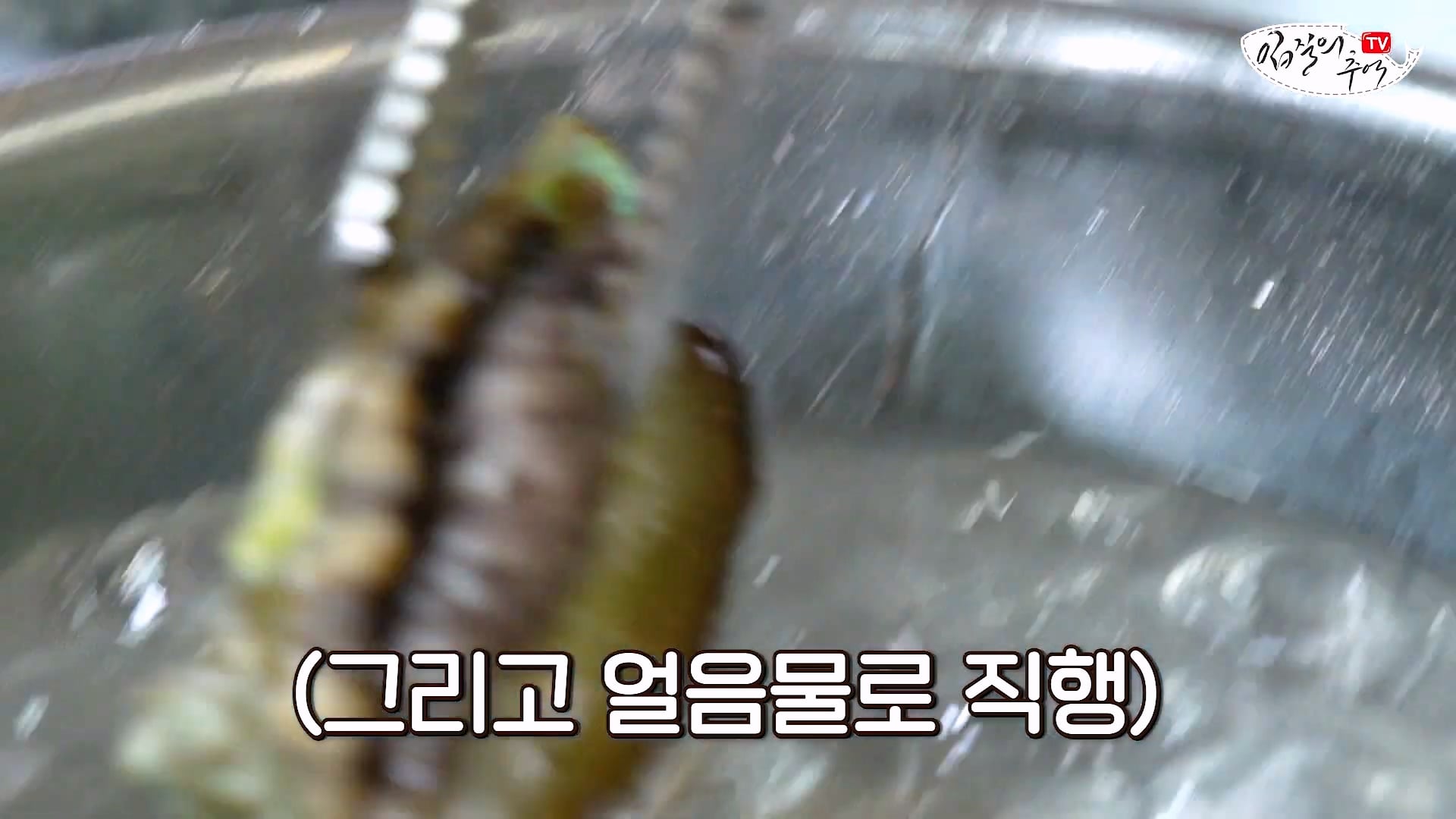 암컷 아저씨가 알려주는 손 쉬운 전복 손질 방법 · 17번째 이미지