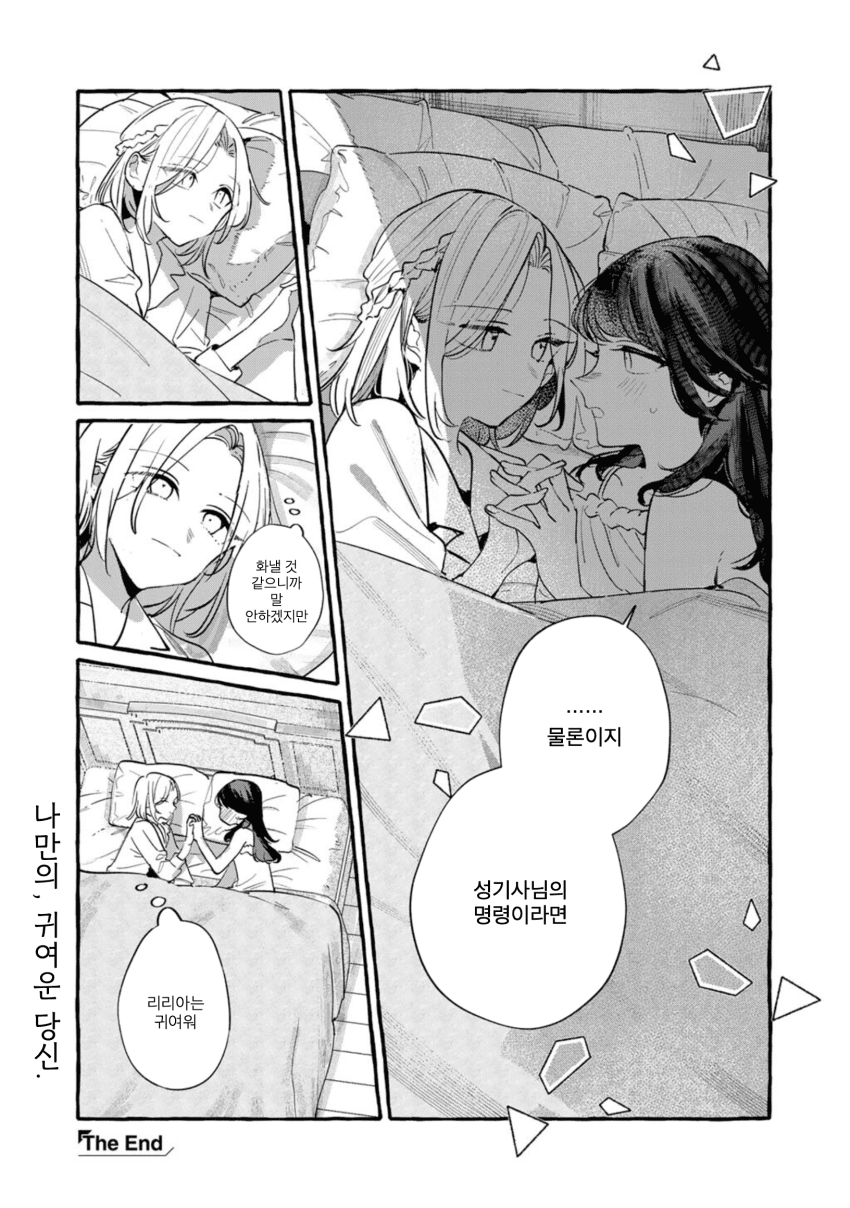ㅆㄷ) 용을 죽이는 성기사 · 10번째 이미지