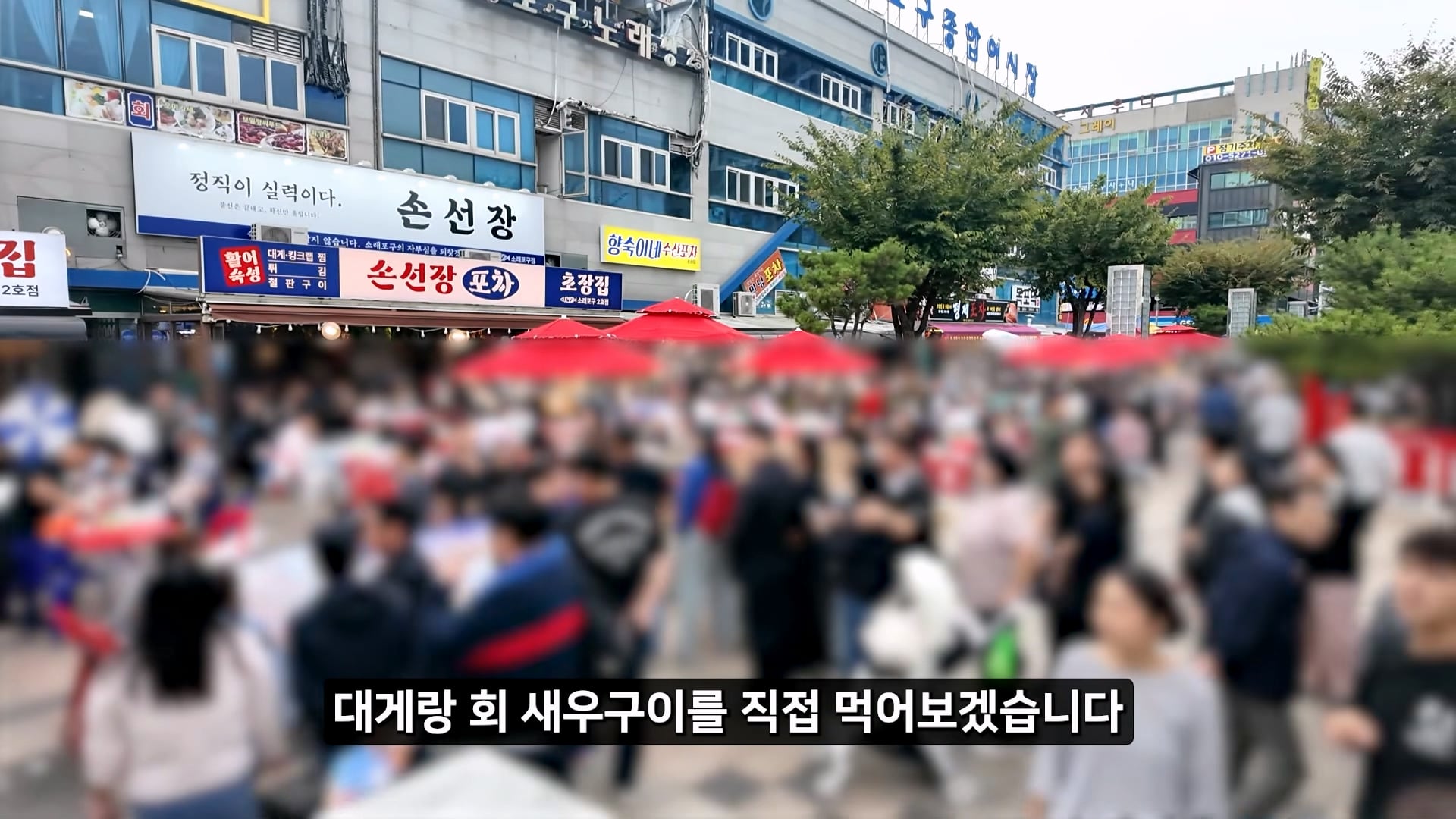 소래포구 저격하려고 14일간 잠입한 유튜버 · 36번째 이미지