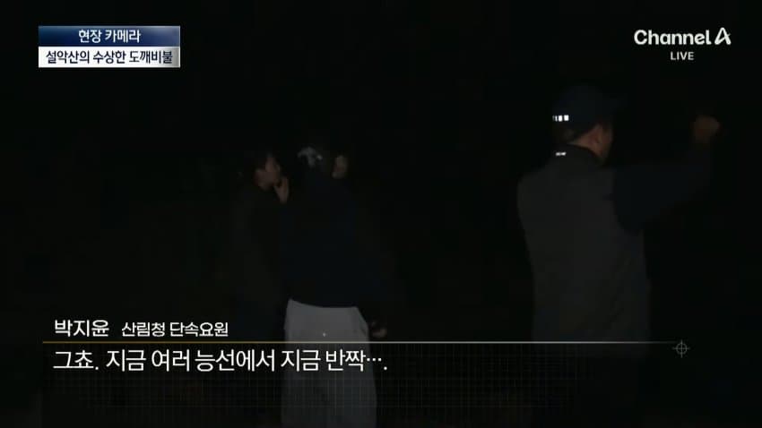 채널a) 송이버섯 1kg에 160만원...밤낮 추격전 · 9번째 이미지