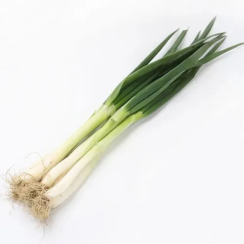 자취할때 신세진 식재료 TOP7 · 1번째 이미지