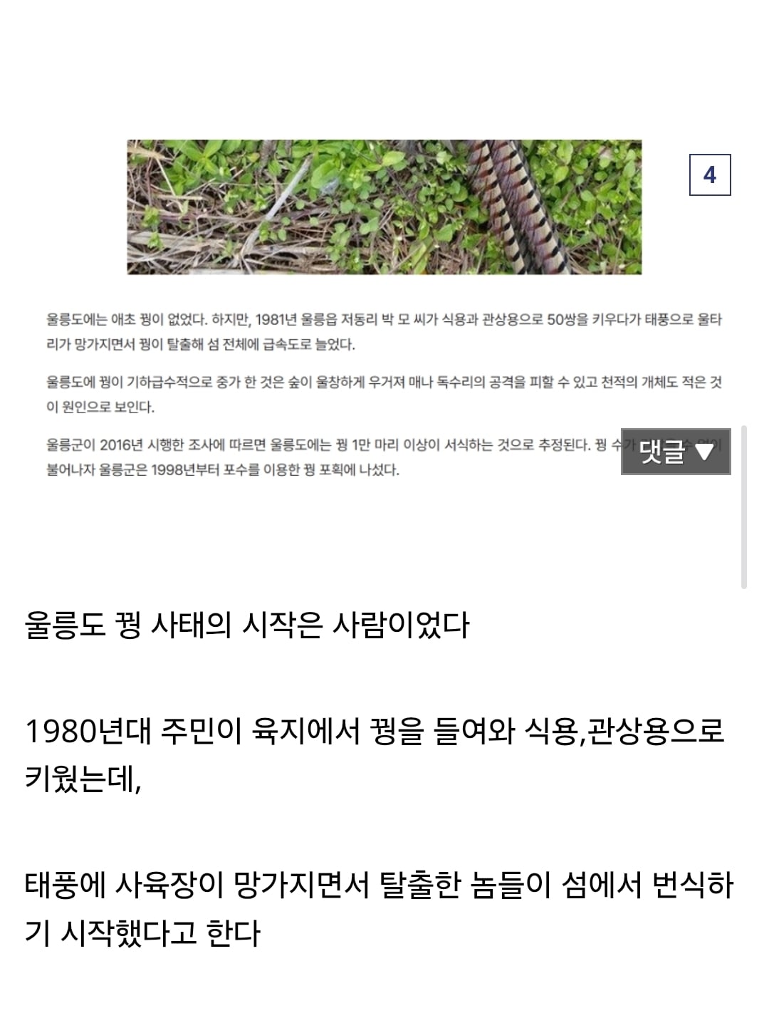 현재 울릉도 생태계가 씹창나는 이유..jpg · 4번째 이미지