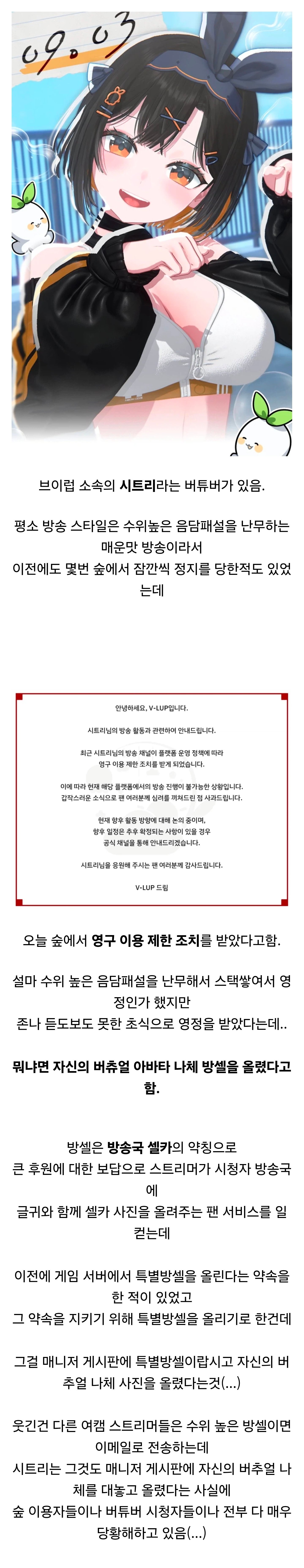 숲에서 영정당했다는 버튜버
